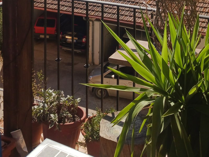 Food experiences Rapolano Terme: Culinary experience: from garden to table