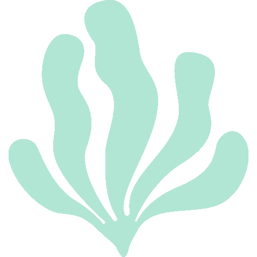 REEF RESTORATION & ENVIRONMENT INSTALLATIONS