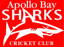 Apollo Bay Cricket Club logo