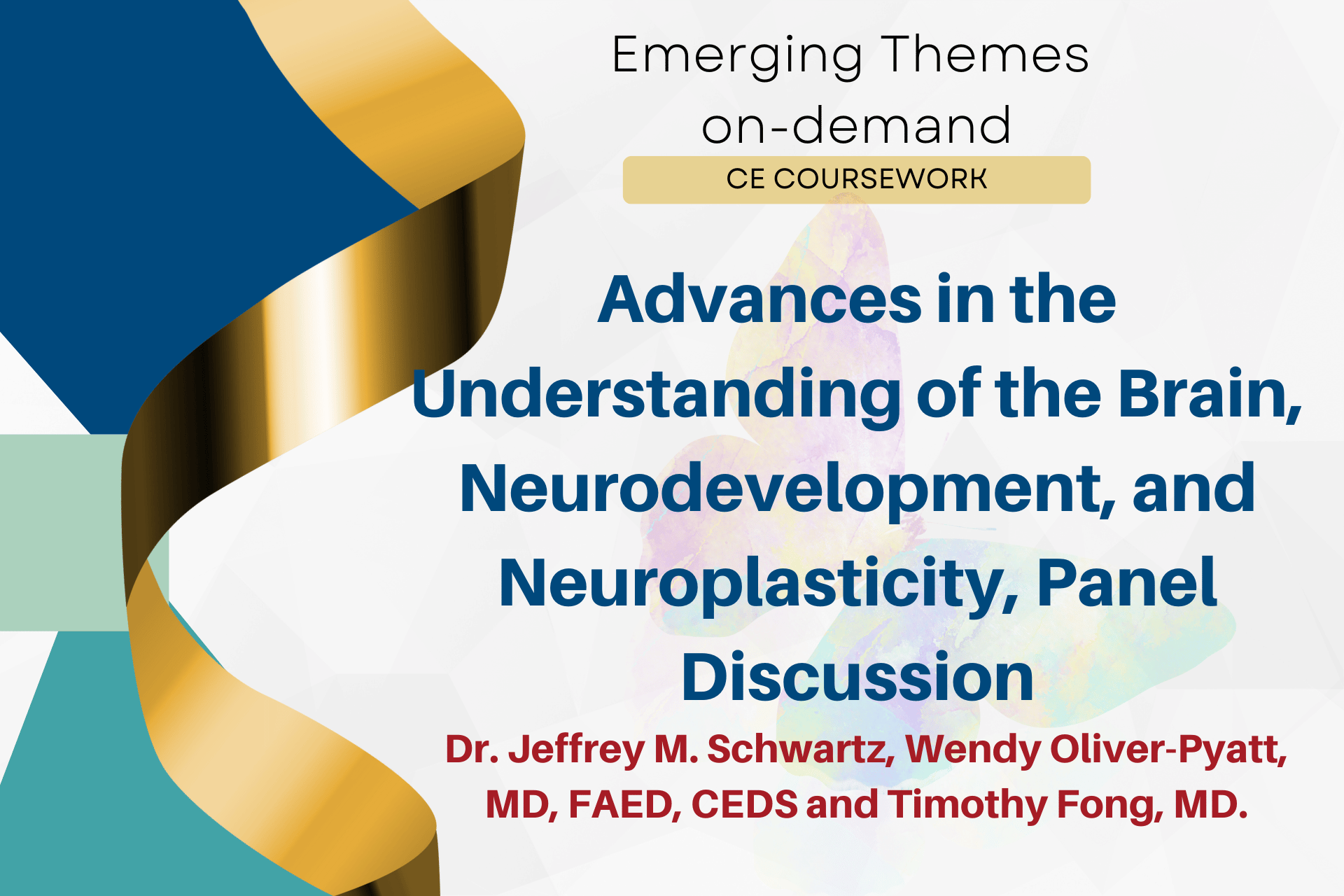 Advances in the Understanding of the Brain, Neurodevelopment, and Neuroplasticity Panel Discussion