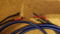 AudioQuest Gibraltar spk Bi-wire 12 foot length with sp... 4