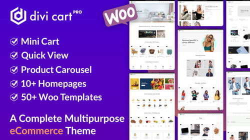 WooCommerce Theme - Divi Cart Pro