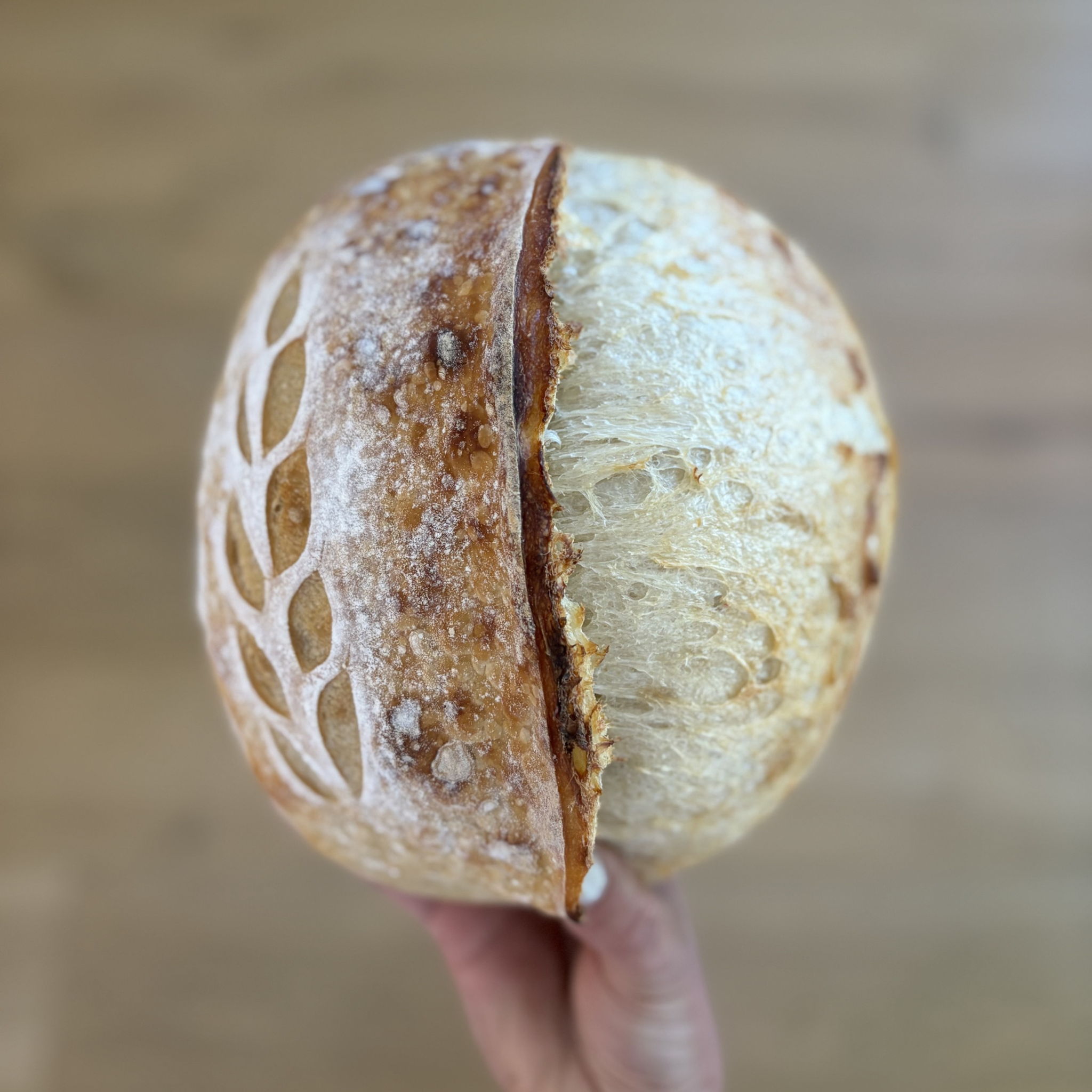 santa_ynez_sourdough — photo from hotplate.com
