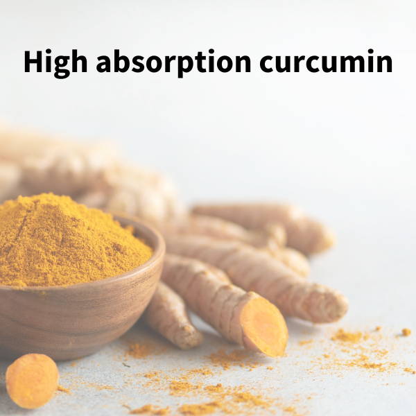 high absorption curcumin