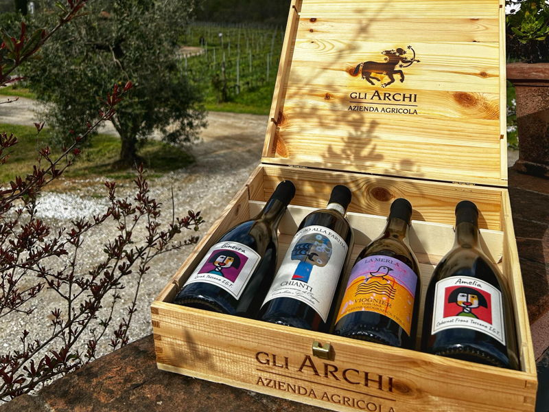 Food & Wine Tours Fauglia: Tasting of 5 natural Tuscan wines