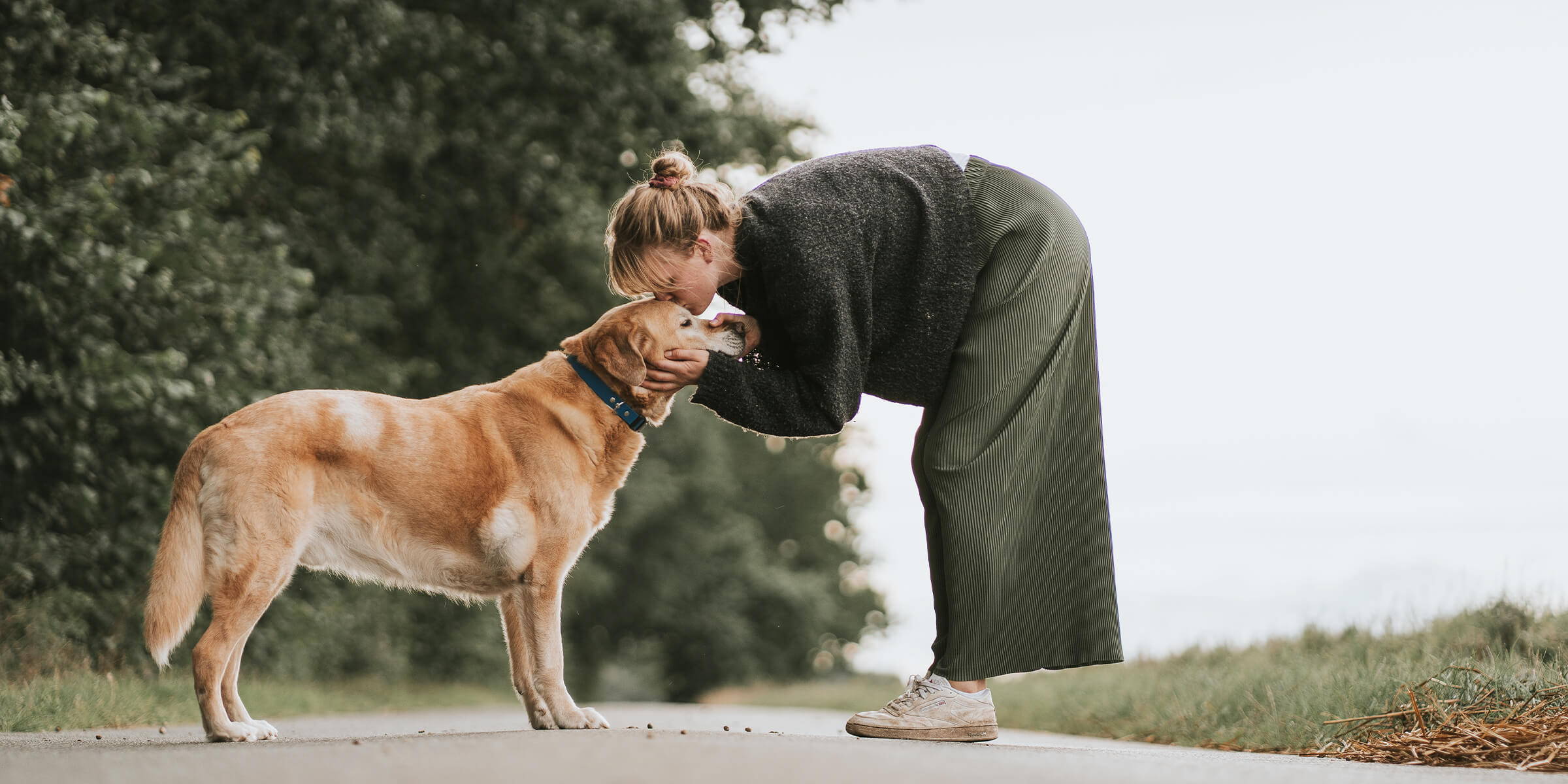 Dwa psy jedzą karmę dla psów Ofrieda