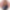 My Profile Picture