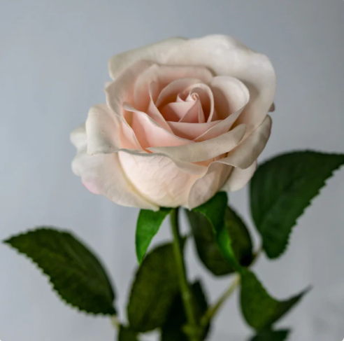 Light Pink Real Touch Half Bloom Rose - Realistic Artificial Flowers