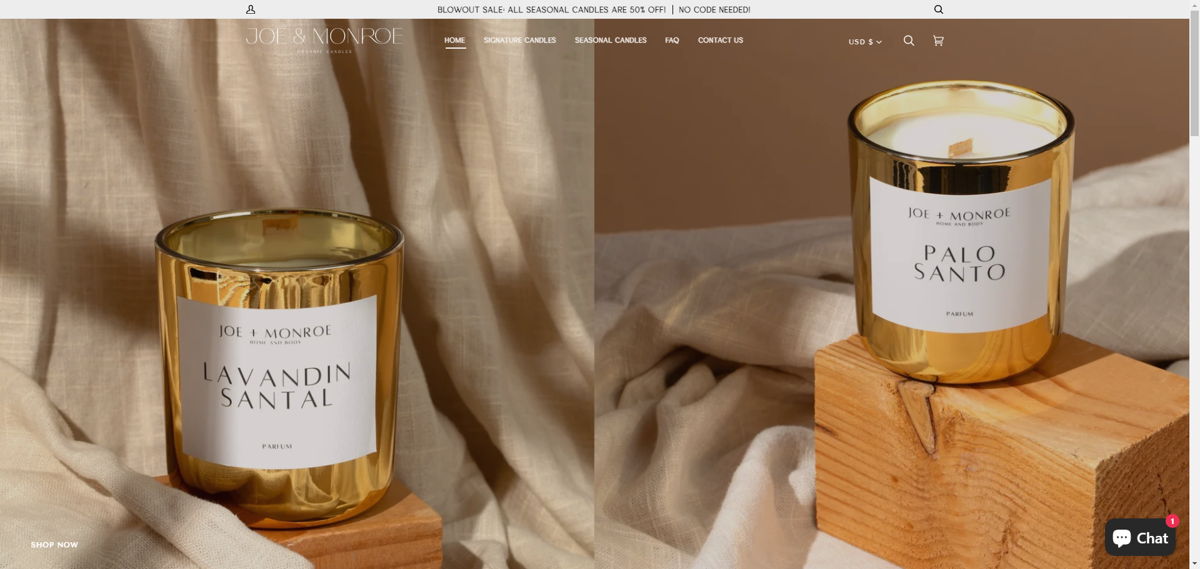 Screenshot of Joe + Monroe , from the brown websites collection.