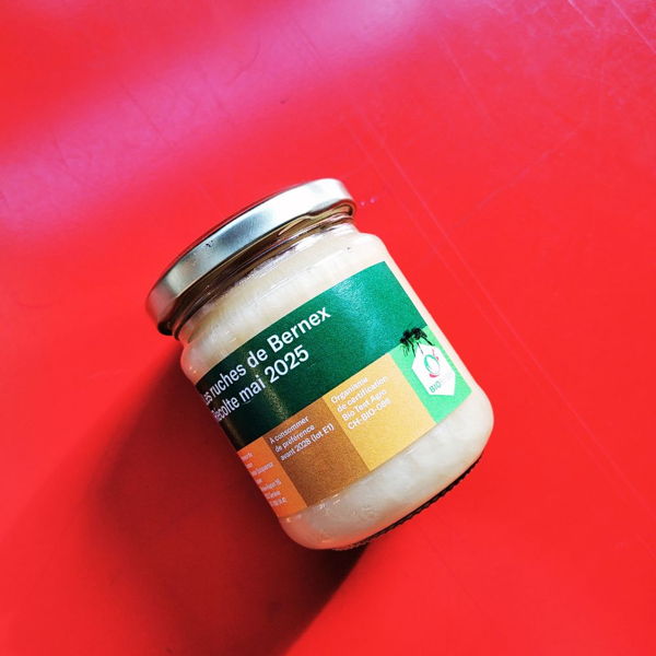 miel-de-printemps-recolte-2025-bernex