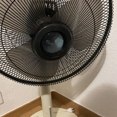 Ventilateur asiatique