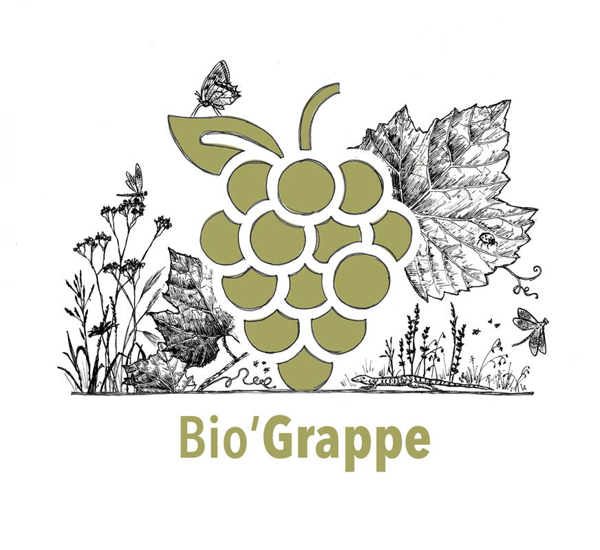 Box Bio'Grappe – abonnement vin bio valaisan
