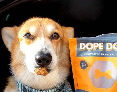 Dope Dog CBD Pet Products - Bonus vouchers!