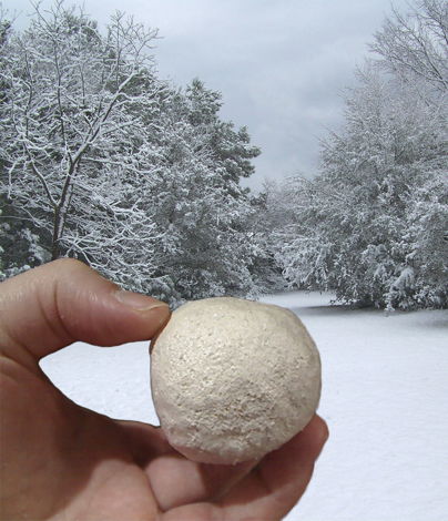 Coconut-Audio Snowball