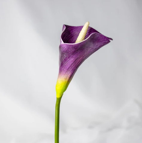 Mauve Mini Calla Lily - Realistic Artificial Flowers - Image 3