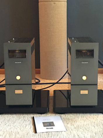 Air Tight ATM-3011R Flagship Mono Amps (MATCHED PAIR)