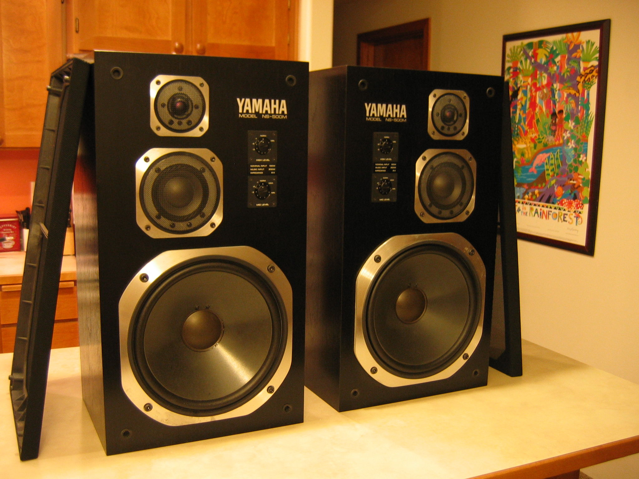 Yamaha ns best sale 500m speakers