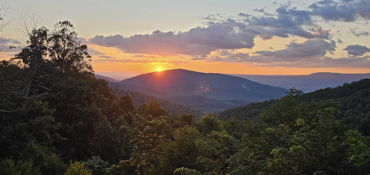 Blue Ridge Parkway Buddy near Barboursville, VA