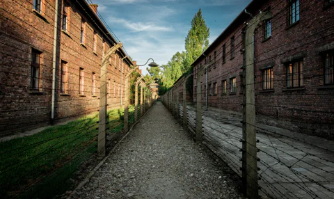 From Krakow: Auschwitz-Birkenau Bus Transfer