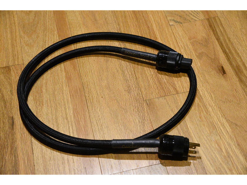Audience PowerChord-e 6 ft power cord