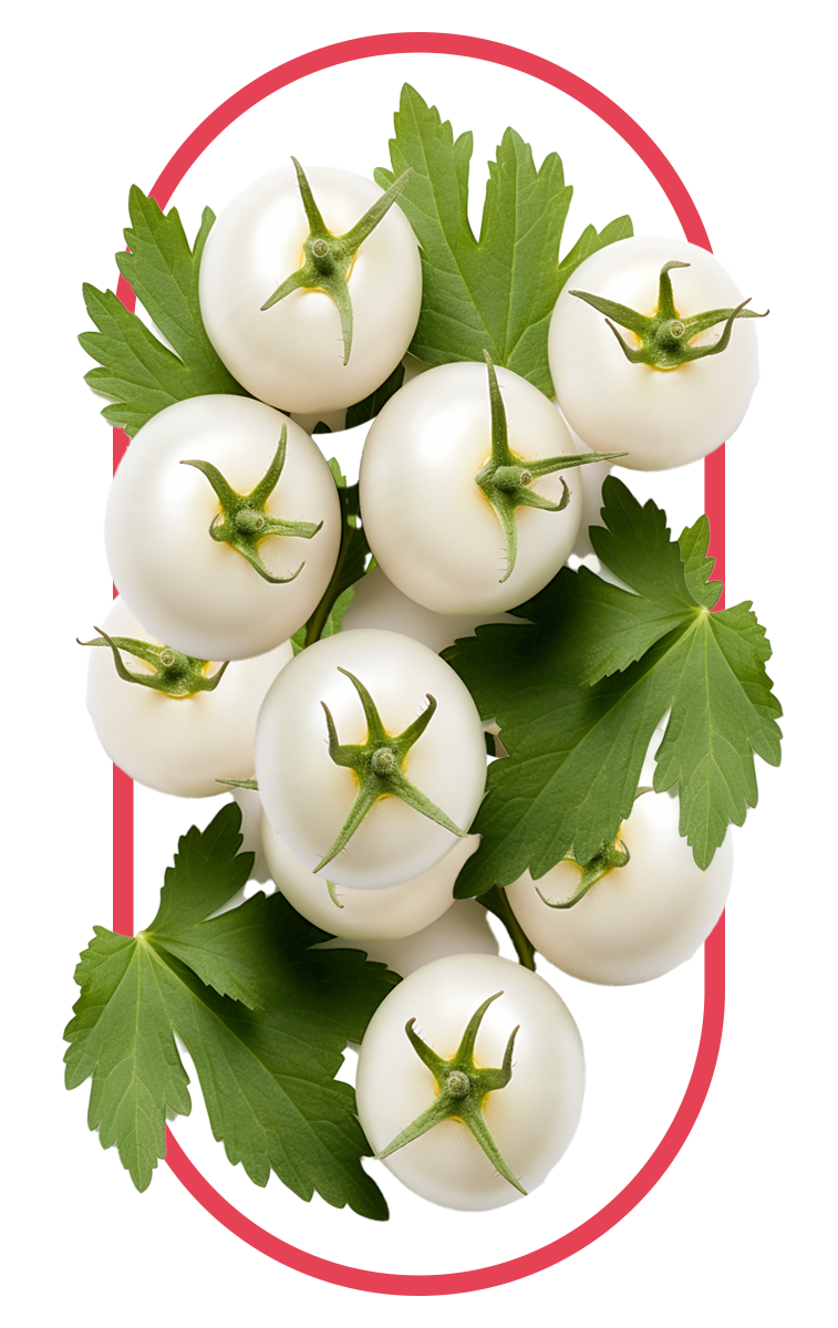 White tomato found in our Collagen Drink