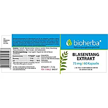 Blasentang Extrakt 75 mg 60 Kapseln