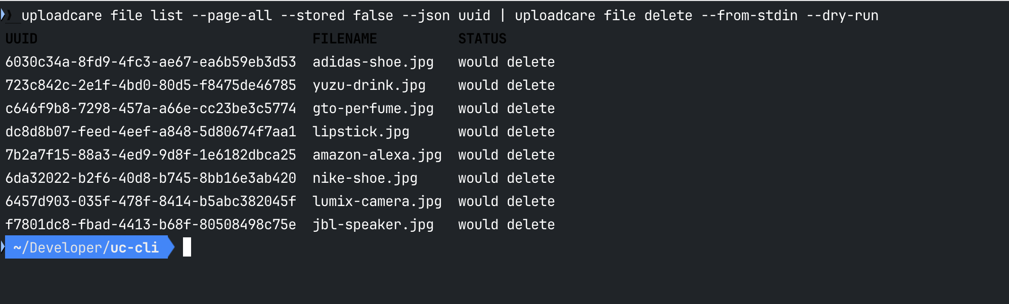Uploadcare CLI dry-run output previewing files to be deleted