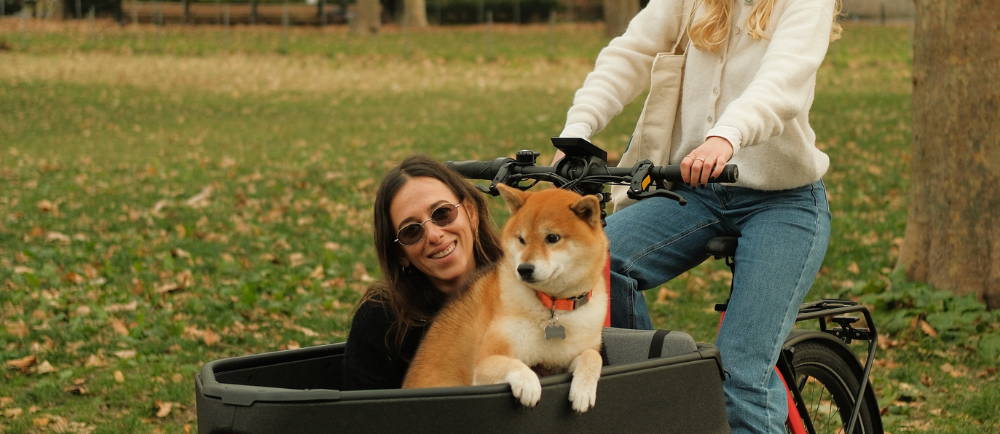 a woman and a dog sitting in a front loading electric cargo bike and a person sitting on the saddle