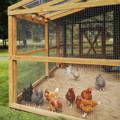 hardware-cloth-is-the-best-predator-proofing-for-chicken-coops
