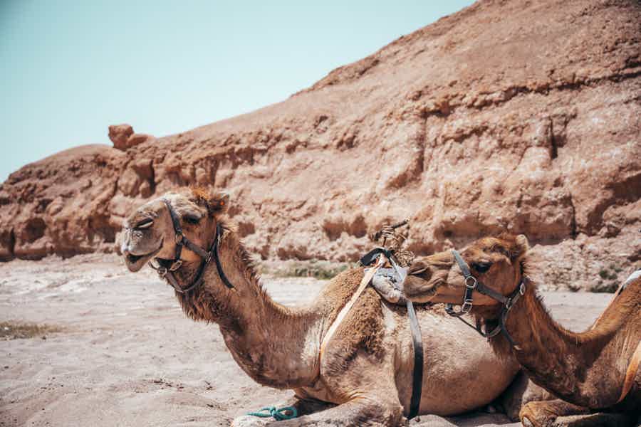 From Marrakesh: Full-Day Mountain & Desert Trip w/ Camel Ride - photo 6