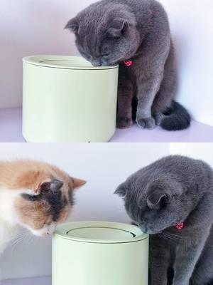 Petree Automatic Cat Water Fountain Dispenser