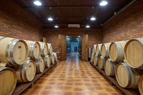 Вино — гастрономический тур на винодельню Лефкадия