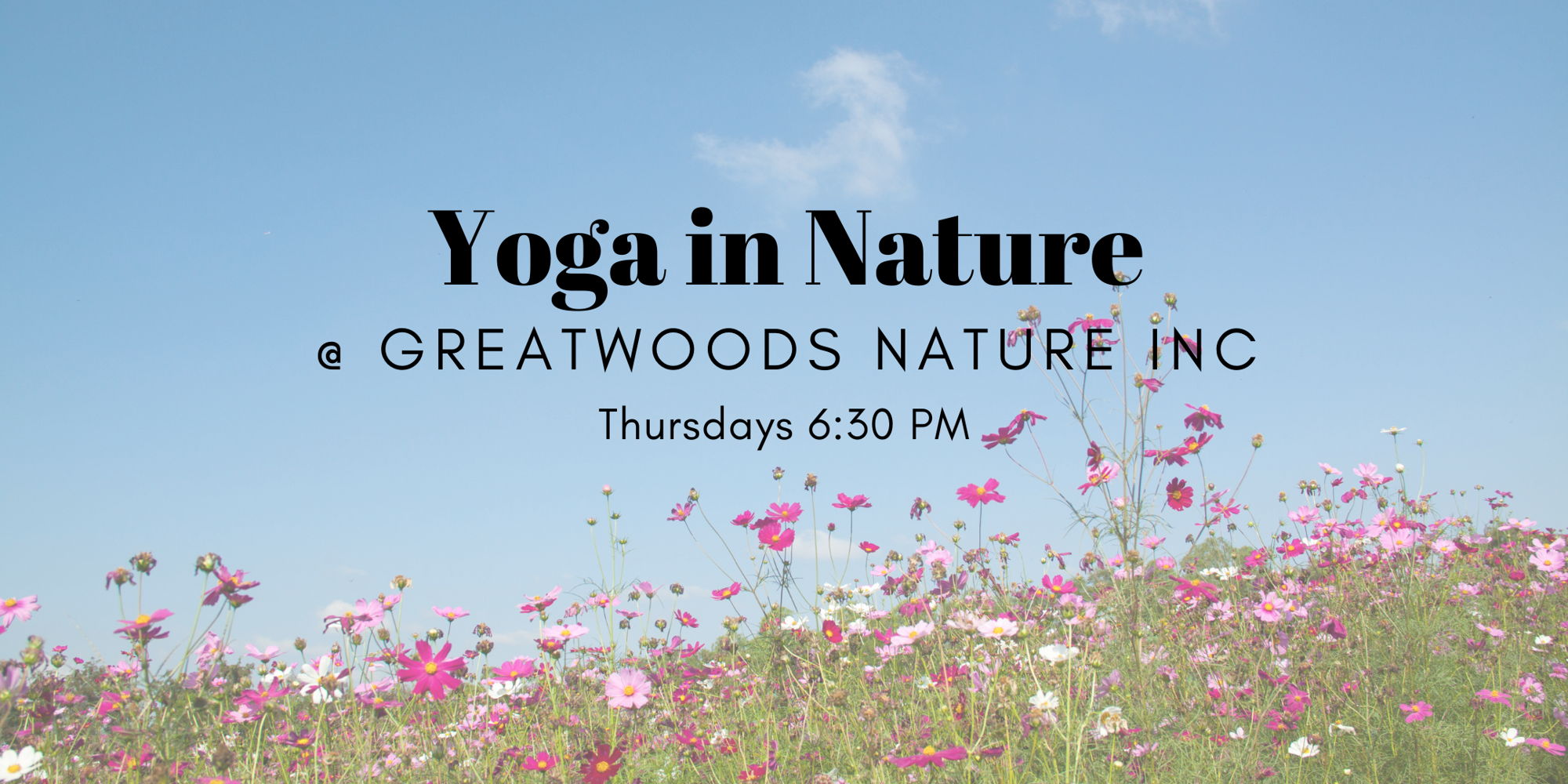 Habitual Yoga in Nature  promotional image