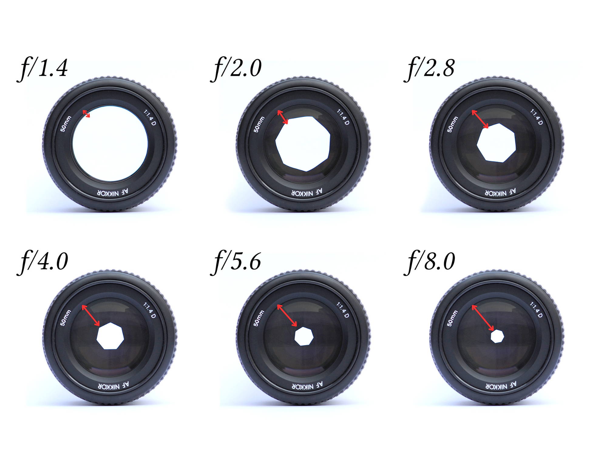 rappresentazione delle diverse aperture del diaframma in un obiettivo fotografico
