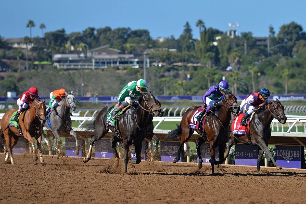breeders cup betting sites