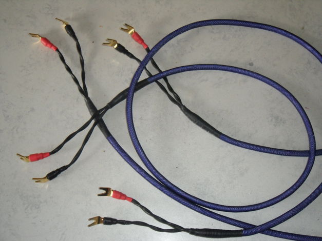 Von Schweikert Audio purple speaker cable. one of the B...