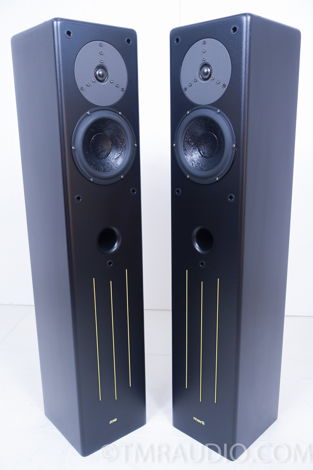 Merlin   VSM-M Floorstanding Speakers with BAM Bass Aug...