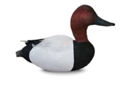 Hand-Crafted Wooden Drake Canvasback Decoy