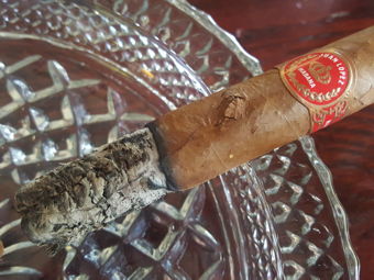 Cigar Session Photo