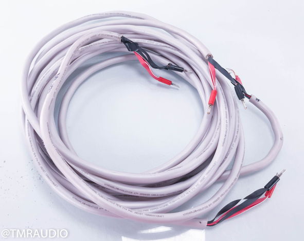 Wireworld Solstice 6 Speaker Cable; Single 6.5m Length ...