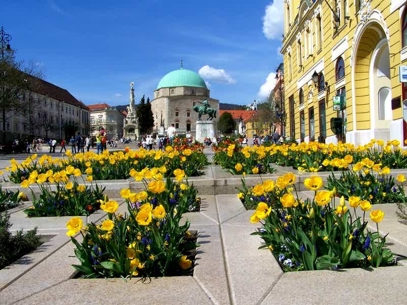 Transfer Budapest - Pecs & Airport Transfer - photo 1
