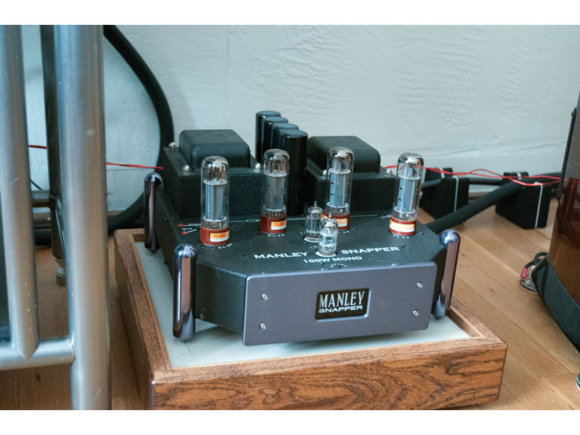 Manley Snapper mono block amps with $1000+ of extra tubes