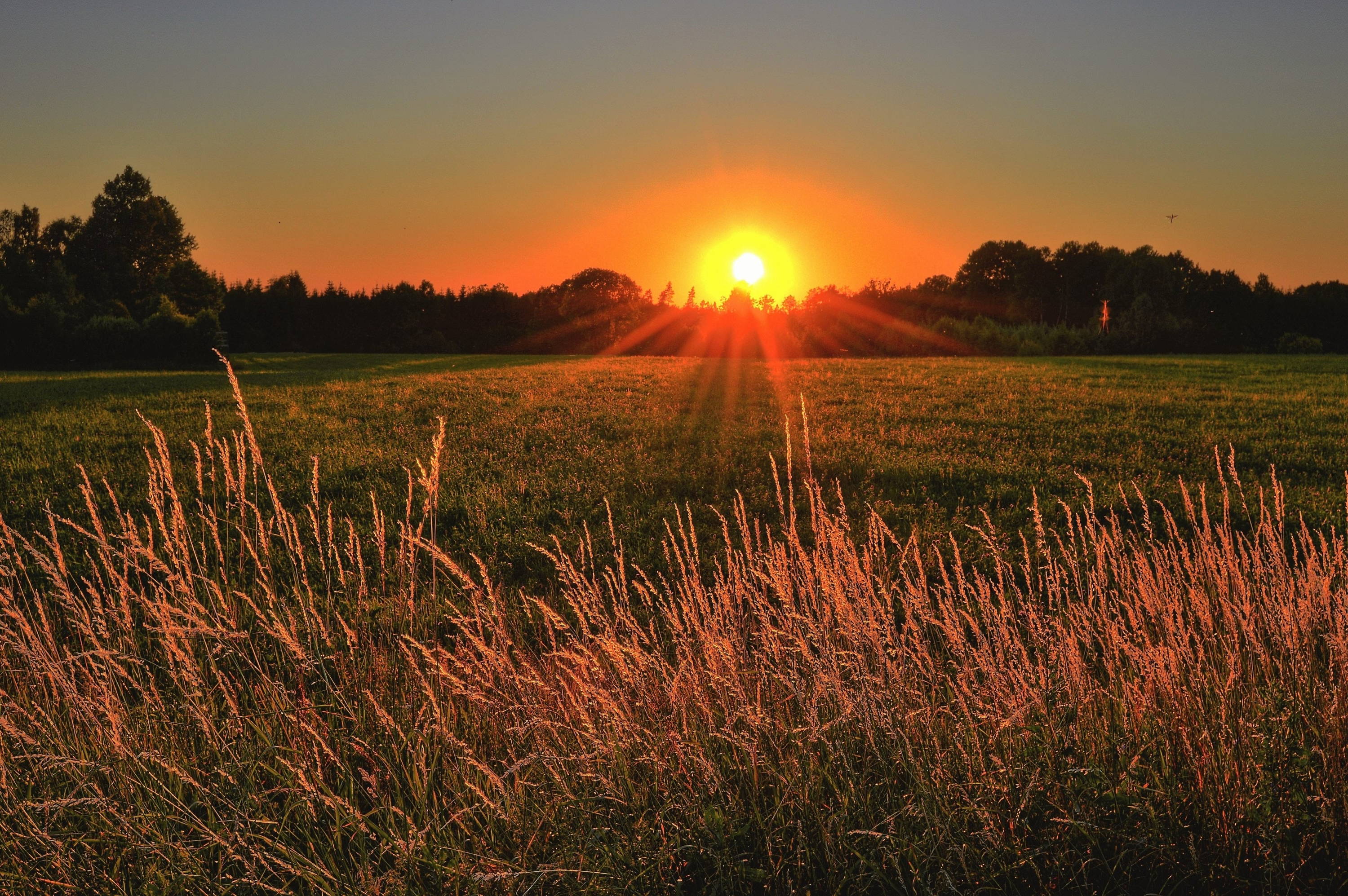 Sunset, Field, Jacob's Well Outfitters