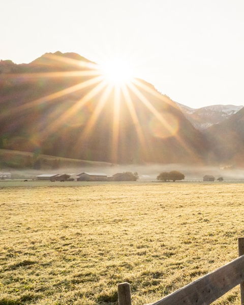 Ihr Kontakt zu Wörz Ferienwohnungen zentrumsnah in Oberstdorf im Allgäu