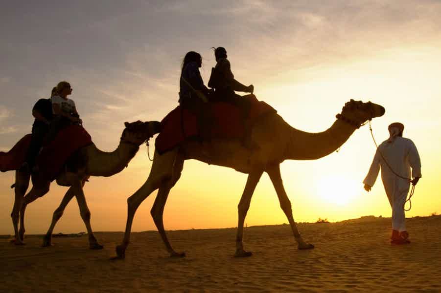 PRIVATE Desert Safari Evening with VIP BBQ-dinner, Camel Ride - photo 5