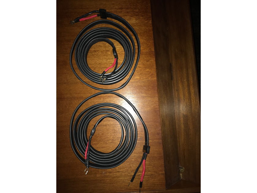 Wireworld Silver Eclipse 6 Speaker Cables - 5 Meters Long