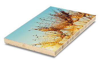 Photo mounted on bamboo