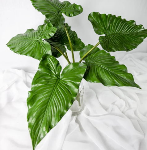 Large Calla Leaf - Realistic Artificial Flowers - Image 3