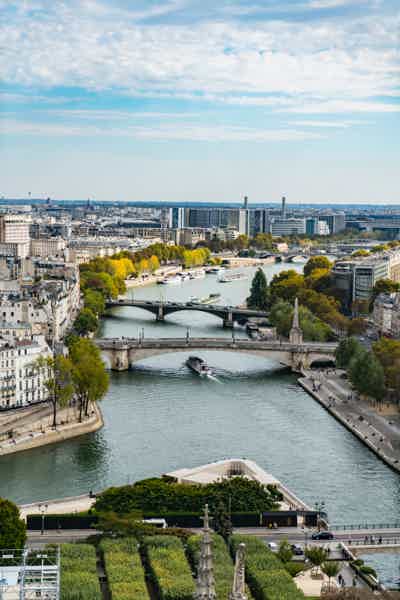 Seine River Walk & Eiffel Tower Summit Access - photo 1