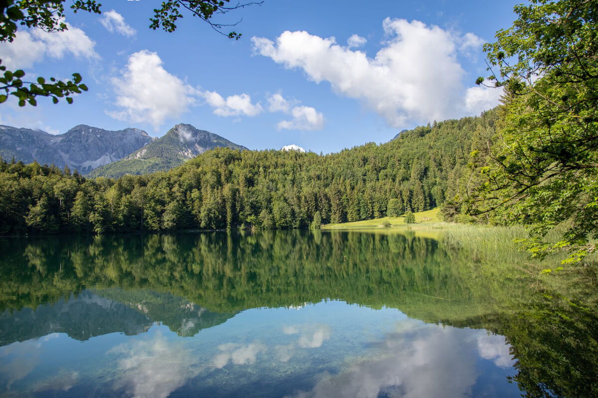 Badesee Alatsee im Allgäu umgeben von Wald mit Blick auf die Berge